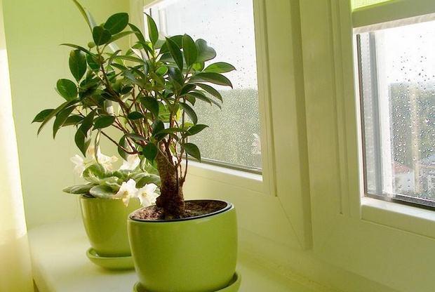 1f1a4cad84618cdb7af8ec882485ae91245.jpg 1f1a4cad84618cdb7af8ec882485ae91245.jpg