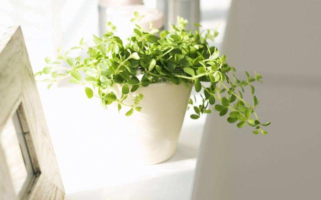 f35770c4c546d7590f217c02ee5a5abf788.jpg f35770c4c546d7590f217c02ee5a5abf788.jpg