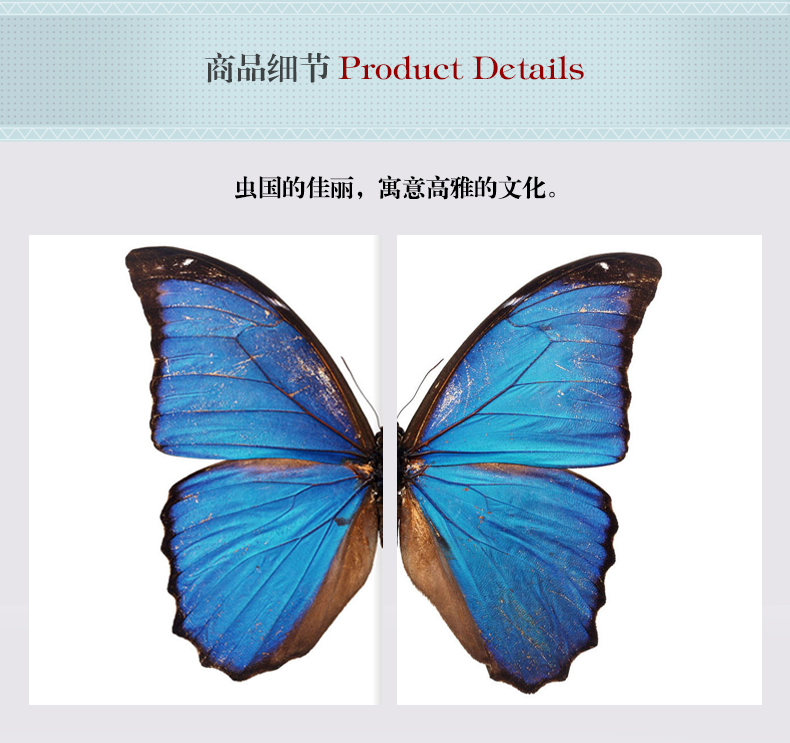 現(xiàn)代輕奢簡歐動(dòng)物裝飾畫 餐廳蝴蝶標(biāo)本鋁合金框晶瓷畫 純手繪油畫 蝶舞