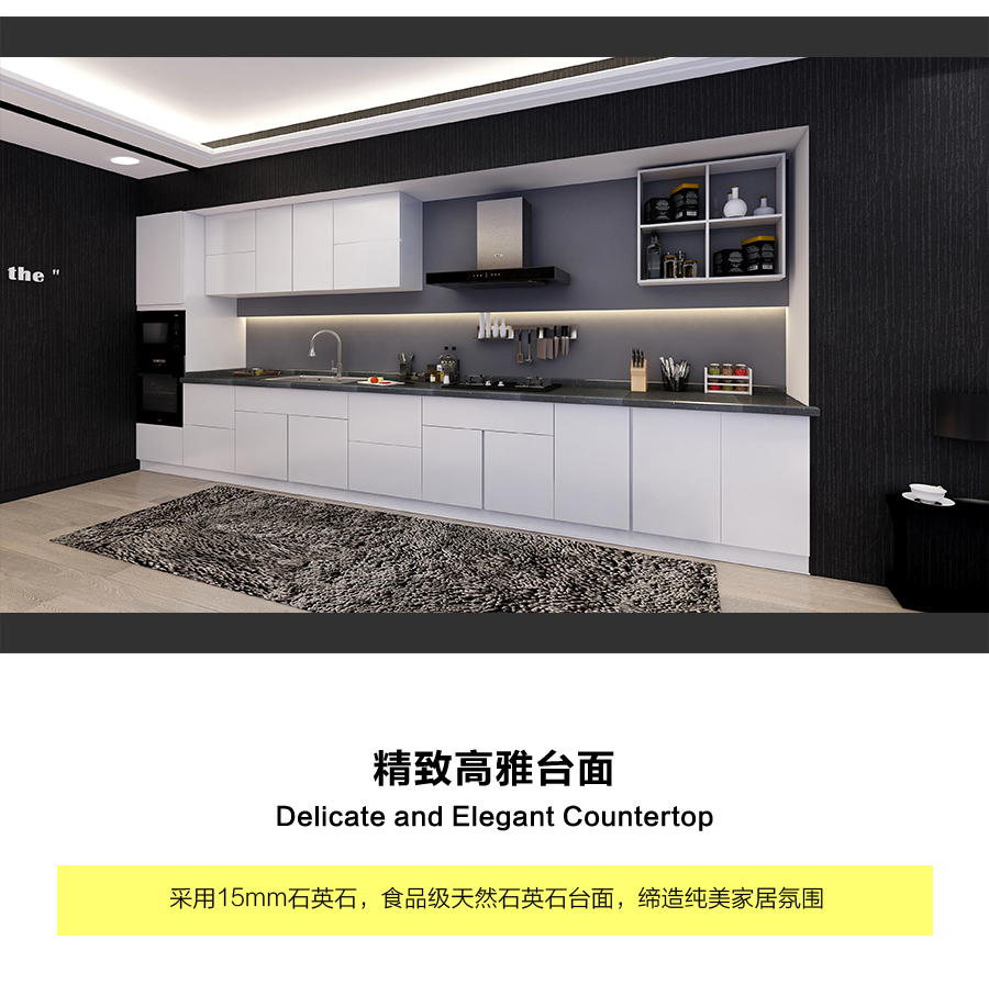 星空梵高定制櫥柜 現(xiàn)代簡約整體定制櫥柜 石英石臺(tái)面定制櫥柜 雙飾面-顆粒烤漆010定制櫥柜