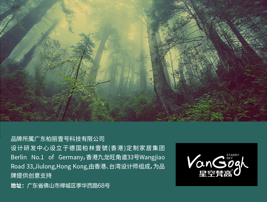 星空梵高 現(xiàn)代簡約雙人床實木床 荷蘭晨風 TB-109#床